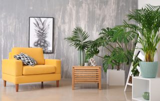 Decoración con plantas